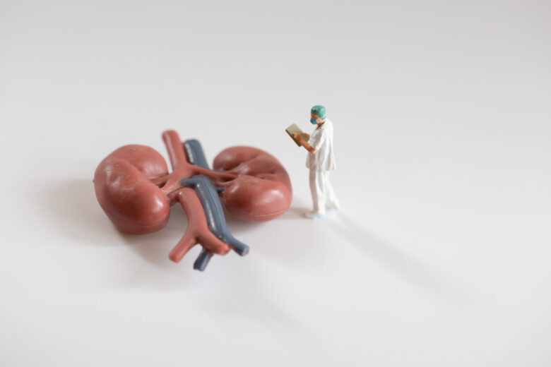 SGLT2阻害薬を慢性腎臓病で処方するときのレセプトコメント｜ジャディアンス・フォシーガ・カナグルの記載事項の判定表、糖尿病・心不全で使う場合との違い
